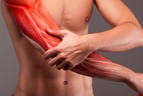 Muscle Pain & Injuries